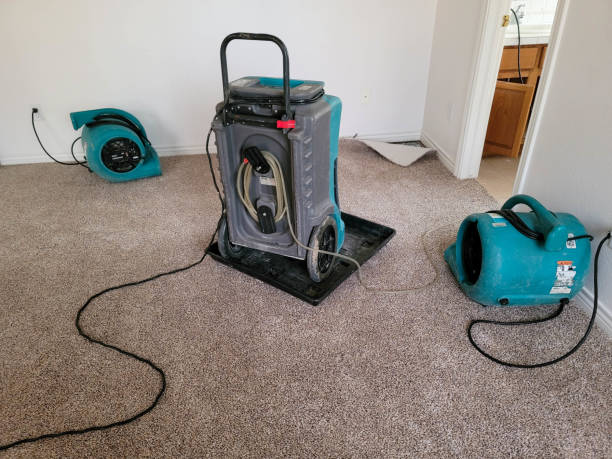 Reliable Kenbridge, VA Water damage restoration Solutions