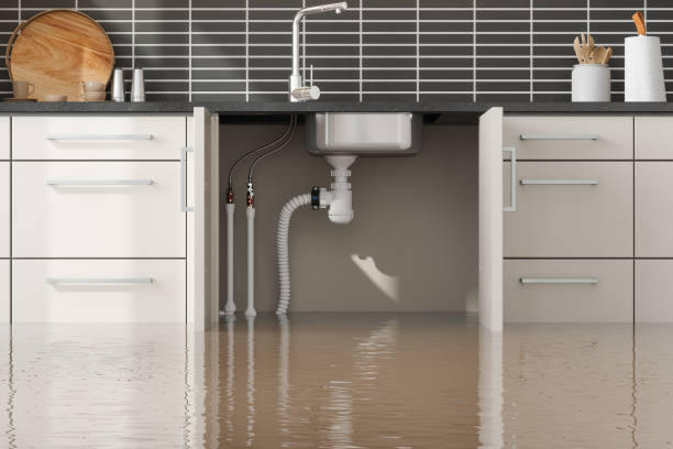 Best Water damage restoration experts  in Kenbridge, VA